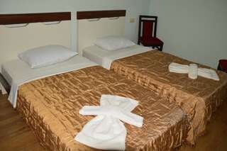 Отель Золотое Руно Уреки Стандартный двухместный номер с 2 отдельными кроватями-4