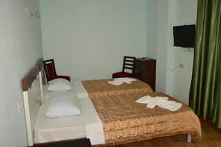 Отель Золотое Руно Уреки Стандартный двухместный номер с 2 отдельными кроватями-5